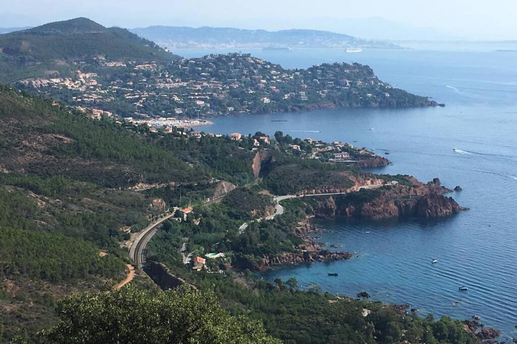 "Les Alizes" Cote Piscine Proche Bord De Mer Saint-Raphaël Dış mekan fotoğraf