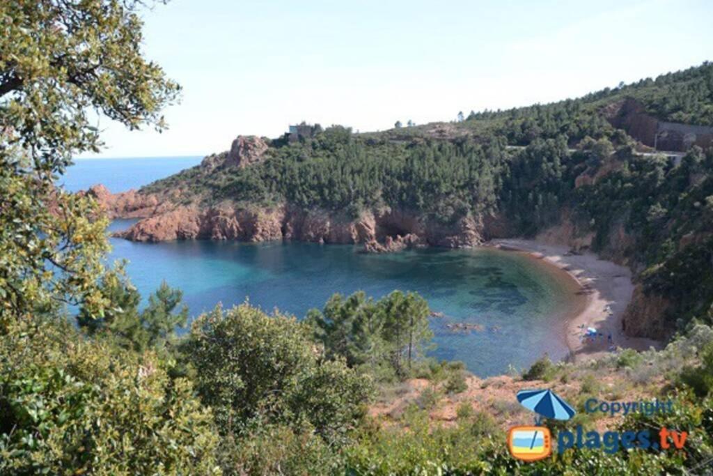 "Les Alizes" Cote Piscine Proche Bord De Mer Saint-Raphaël Dış mekan fotoğraf